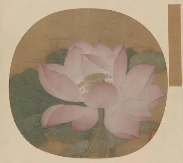 避暑博物馆：荷风莲韵，清凉“一夏”