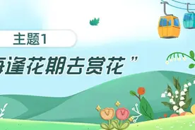 赏花线路推荐｜来菏泽，以赏花之名！图片