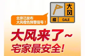 北京市13区出现10级以上阵风！大风来了，“宅家”最安全！图片