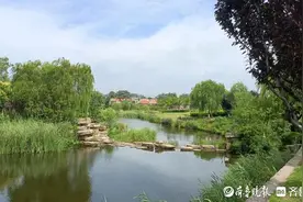 青岛7条（段）河流通过省级美丽幸福示范河湖市级复核图片