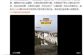 以鹅抵债！男子催欠款申请强制执行，获赔1600只鹅图片