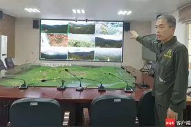 探访“雨林精灵”解密琼岛生物多样性密码图片