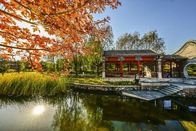 本周末迎赏红高峰，副中心金秋美景邀您共赴“京秋”之约