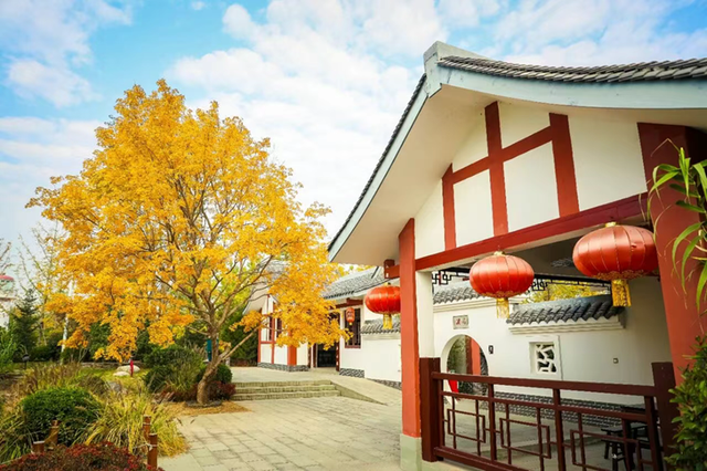 走，到郑州航空港“捡秋”去！丨港视角