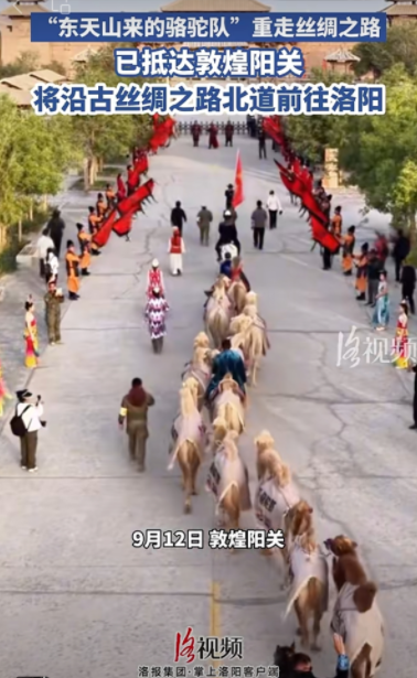 【文旅瀍河】过阳关！“东天山来的骆驼队”顺利抵达敦煌