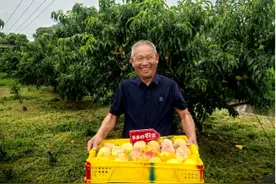 拼多多发布Q2财报，投入百亿扶持新质商家，持续助力商家提质增效图片