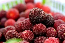 黄桃、杨梅、甜玉米、蓝莓……6月武汉周边新增这些采摘游玩好去处图片