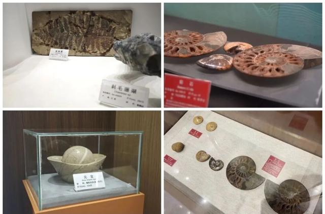金秋有礼 绵阳有你 ‖ 国庆来安州，四大主题玩法，畅享八日悠闲！
