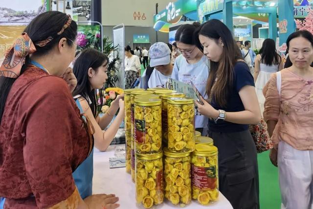 跨越海边山，防城港携好物亮相第22届东博会旅游展