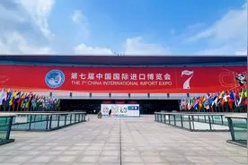 圣谷山茶：上海进博会上绽放中国茶香，世界共享图片
