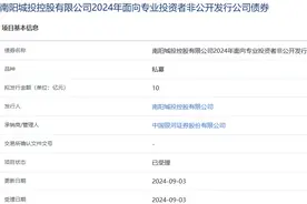 南阳城投控股拟发行10亿元公司债，获上交所受理图片