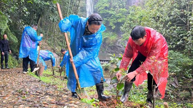 融议心安 |“双瀑秘境”的悄然改变