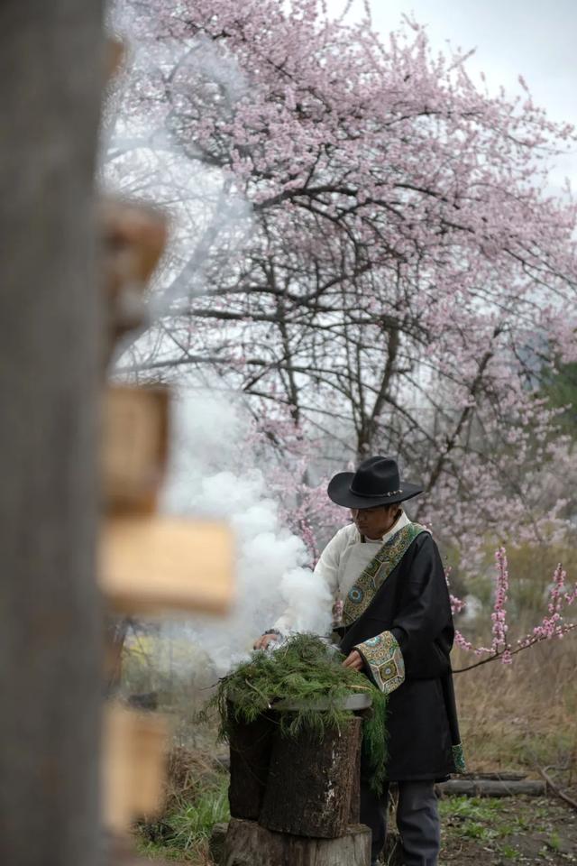 林芝·粉——世界屋脊的桃花源记