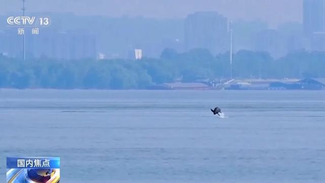 突破18亿！“真实版”就在南京