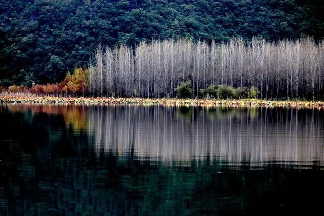 初冬的普者黑，把水墨“划”进现实