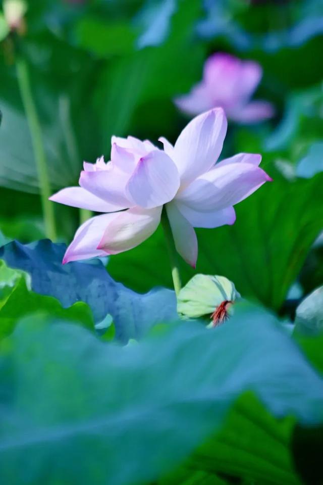 常州的夏！每一帧都心动！
