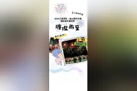 2024上海湾区·金山城市沙滩国际音乐烟花秀璀璨而至！图片