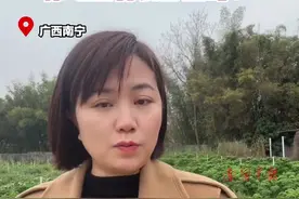 从“难以下咽”到“健康新宠”，羽衣甘蓝逆袭后身价暴涨图片