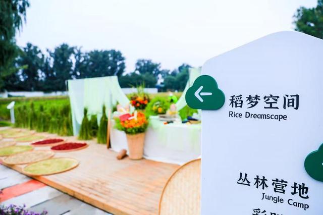 大美北京|丰收节打卡美学农场 北京丰台将“村景”玩出新花样