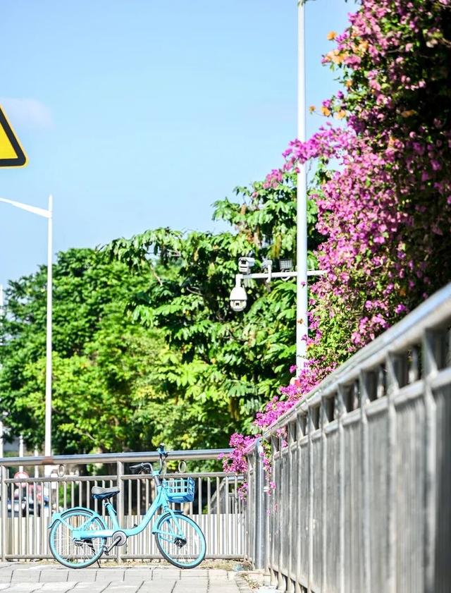 深圳知名景区紧急通知！