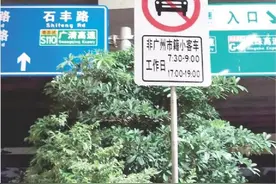 路标牌已换 有半个月执法过渡期图片