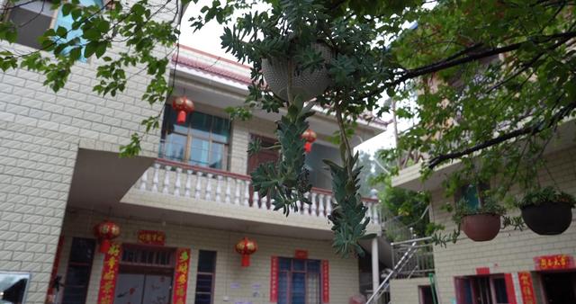 盘州大海村：靓丽小山村成避暑旅居新宠