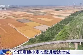 机损率仅0.5%，每亩多赚15元，科技助力夏收创造良性循环图片