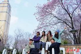 共赴“十年之约”，六名广东年轻人相约武汉看樱花图片