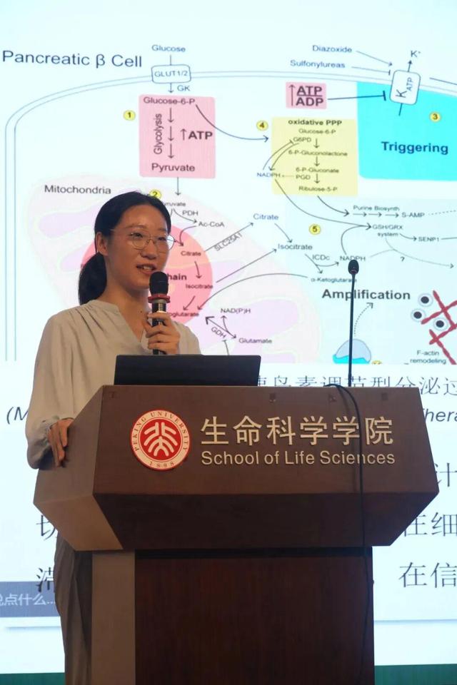 一起照亮更广阔的世界丨北京大学代表队参加国际基因工程机器大赛2025年参赛总结