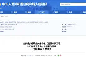 最新出台！又一批重大事故隐患判定标准图片