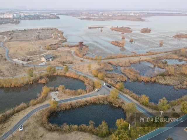 淮阳龙湖湿地冬景如画 生态保护成效显著
