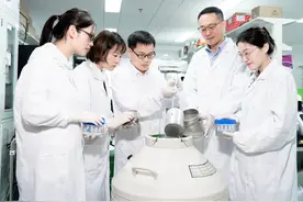 首次构建高比例胚胎干细胞嵌合体猴，打破学界“不可能”定论图片