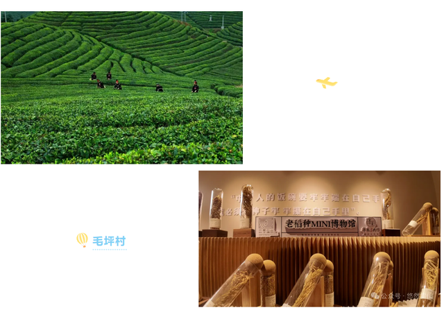 错过了苗年巡游，别再错过这些“传统村落”的慢时光