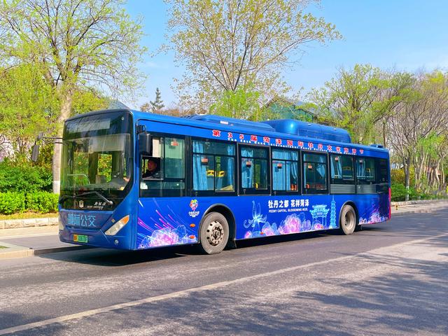 80辆牡丹主题公交出圈！菏泽最美的风景不仅是牡丹，更是这座城市的诚意与温度
