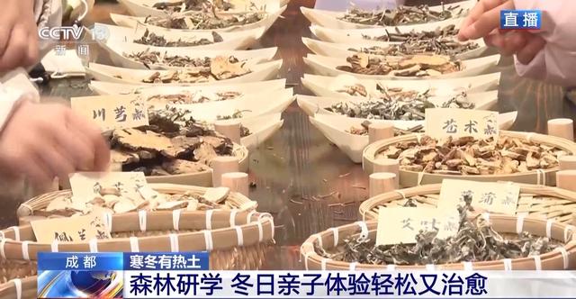 围炉煮茶遇上乡村音乐会 冬日氛围感拉满了