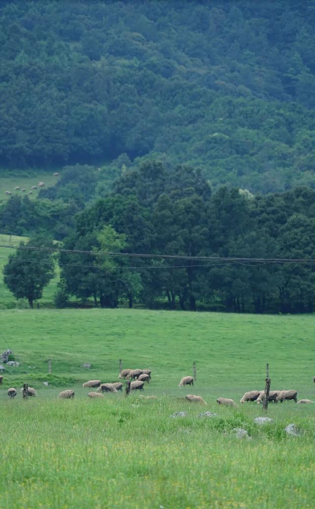 与大地同频呼吸！这个秋天，总要去寻甸草原秘境寻找下自己的“阿勒泰”时刻了