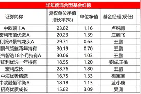 上半年混基红黑榜：宏利王鹏“又行了”，成长板块跌幅较大图片
