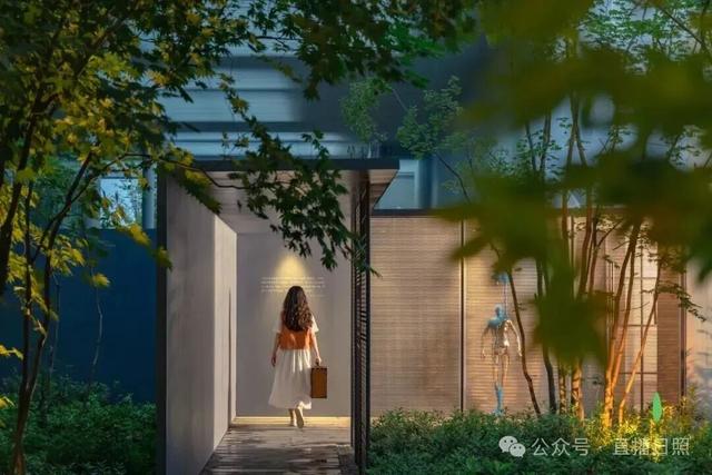 打工暂停！来日照这里，做一回「显眼包」！