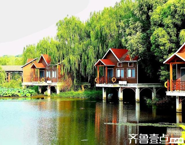秀山东丨泰安:翠绿摇曳，波光交映