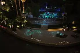 上海国际光影节开幕！家门口的光影盛宴同样精彩……文末还有惊喜→图片