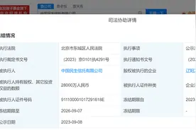 民生信托所持2.8亿股权被冻结图片