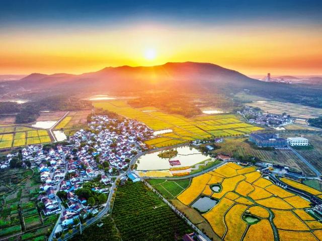 如果你要写溧水的秋天……（文末有福利）