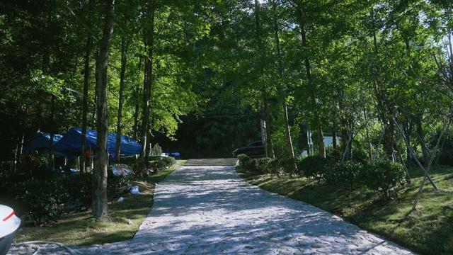 青春铅山·缘来武夷 | 铅山县2025年七夕联谊活动报名啦！