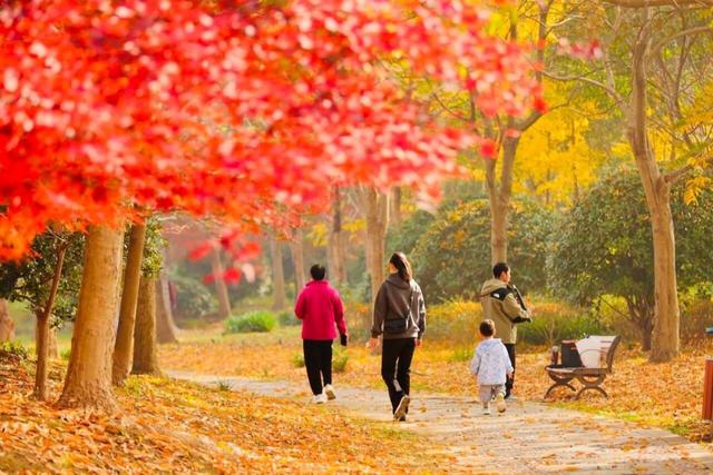 🧡宿城，已经美成这样！