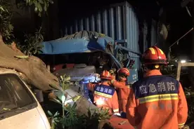 肇庆封开：货车撞树致一人被困，消防火速救援图片