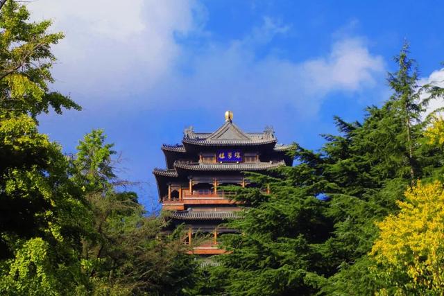 秋信已至！威海这4处宝藏地满是金黄浪漫，来赴约吧～