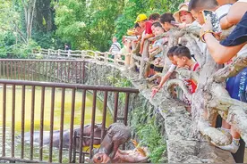 “六一”带娃去哪儿玩？海南这些文体活动不容错过→图片