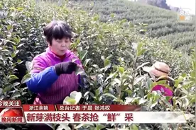春日尝鲜正当时，哪一款是你中意的“春日限定”？图片