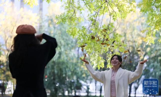 秋声渐杳 斑斓成诗