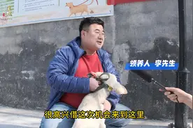 为“毛孩子”找个温暖的家！日照开展流浪犬免费领养活动图片